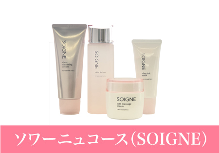 ソワーニュコース