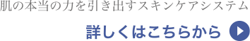 サロンシステム